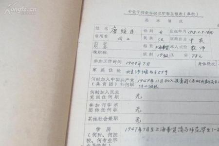 主要业务工作情况填写