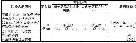 个人医保门诊费按什么标准发放