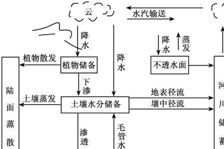 海洋的水如何循环