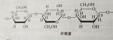 生物化学式结构怎么理解