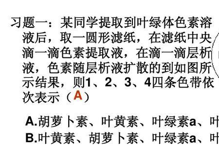 提取叶绿素层析液的配制