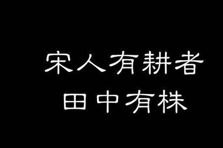 而身为宋国笑的身为是什么意思