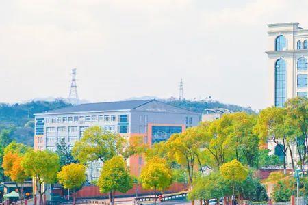 重庆科创学院都有那些社团