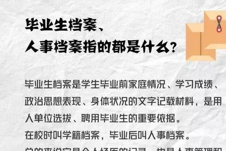 档案可以分为哪几板块