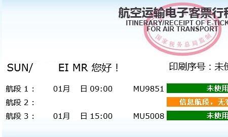 买不起飞机票怎么回事