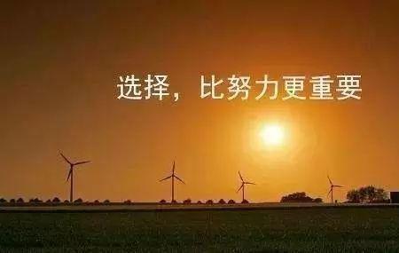 努力大于选择是什么意思