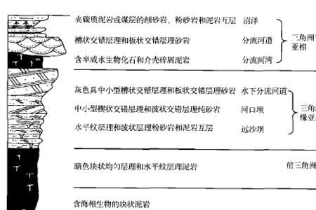 三角洲的定义是什么