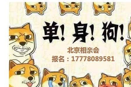 不交友不相亲是什么意思