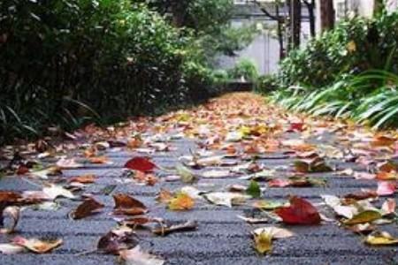 期盼秋雨变凉的诗句