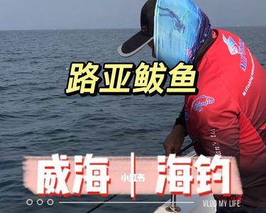 出海钓鱼费用明细表