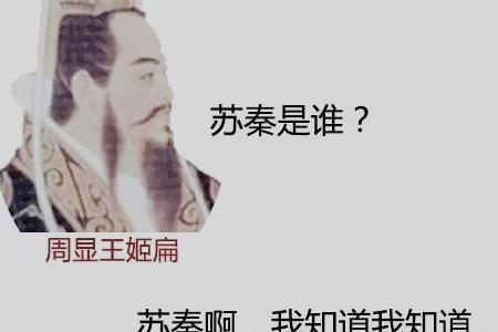 苏秦为哪国效力