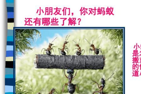 蚂蚁什么搬家填动词