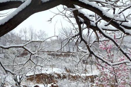 春花冬雪什么意思