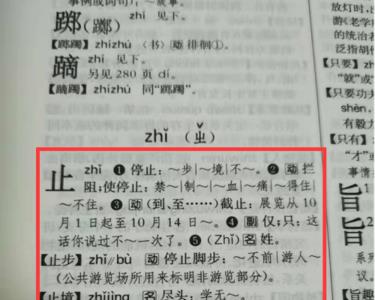 三点水加三个止是什么字么