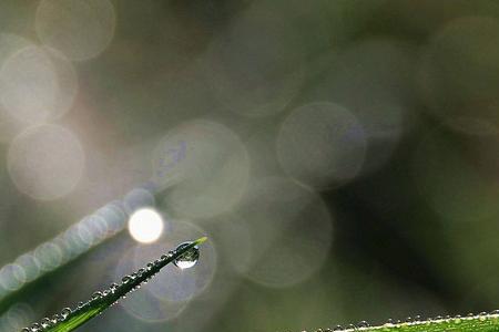 淅沥沥的小雨唱着歌后面填什么