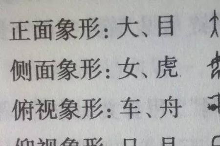 从造字法看虎属于什么