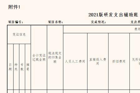 研发支出辅助账汇总表怎么填