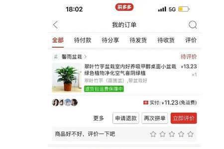 拼多多绿植类目是什么