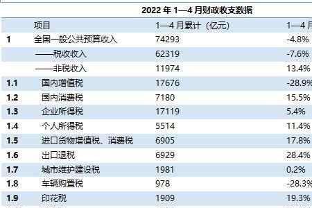 数据收入是什么意思