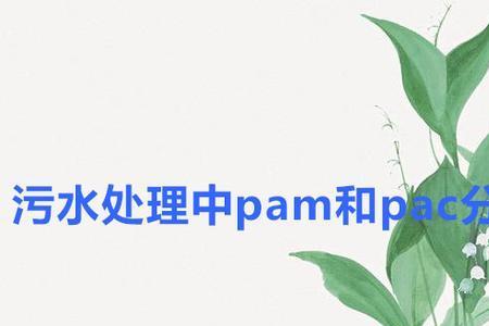 太平人寿pac是什么意思