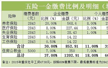 集体企业有五险一金吗