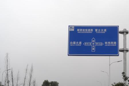 路标L什么意思