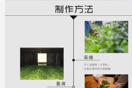 安化红茶薄片的冲泡方法