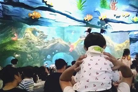 水族中秋节风俗