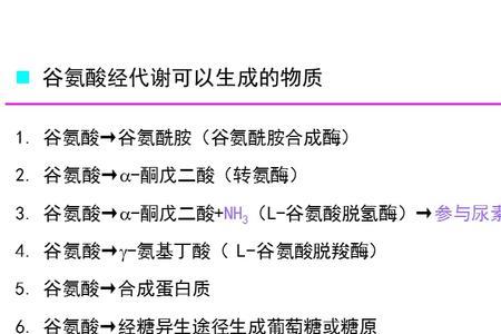 谷氨酸能突触传递的基本过程