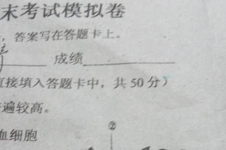 反射弧是什么意思