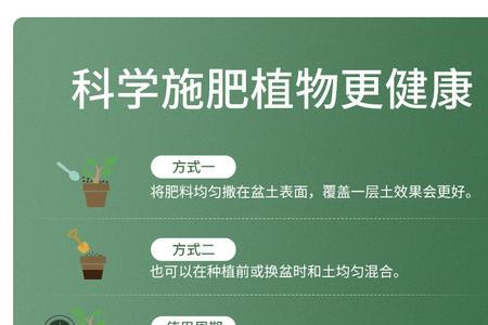 多肉缓释肥跟控释肥有什么区别