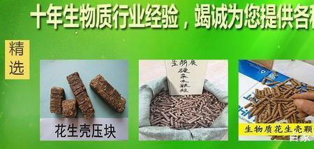 生物质替代什么意思