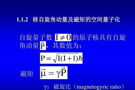 主量子数和角量子数