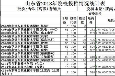 什么是投档情况表