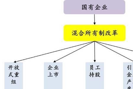 混合所有制经济有哪些例子