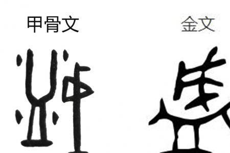 供为什么是形声字