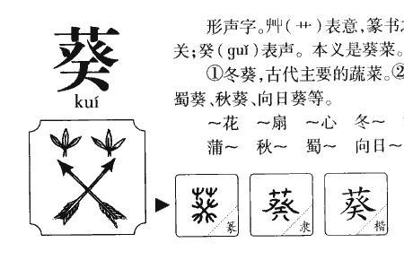 两个草字头的组词