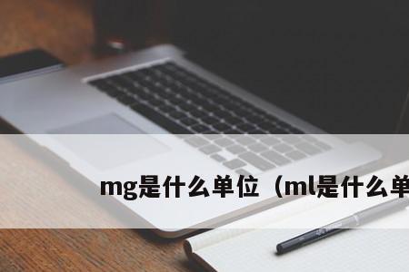 g表示什么单位