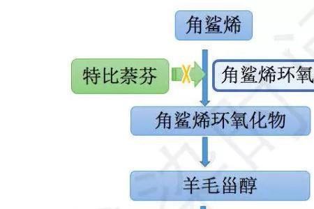 各种固醇的来源与转化关系