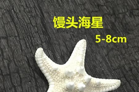 面包海星怎么吃