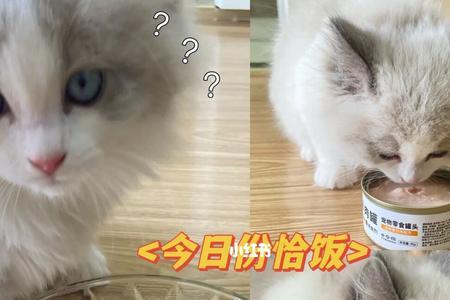 古瑞特的猫粮怎么样