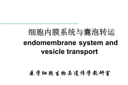 生物:囊泡属于生物膜系统吗