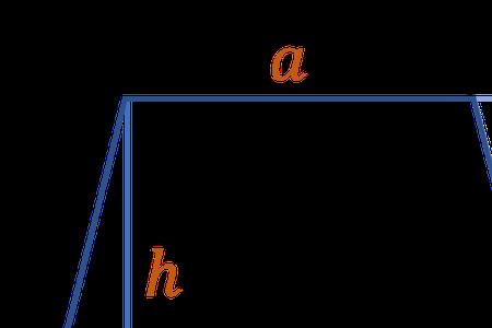 梯形只有一组对边平行对么