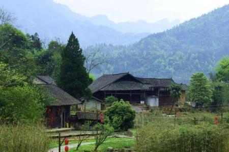 梦回大山的文案