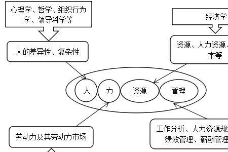 人力资源是什么职业