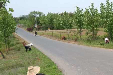 乡村道路没人修要找什么部门