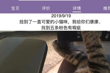 淘宝认领猫咪靠谱吗