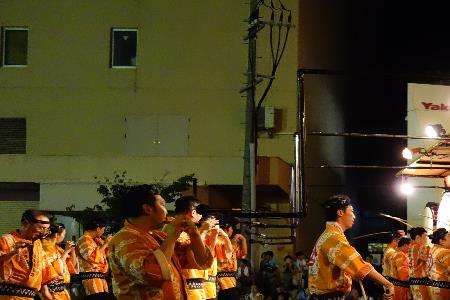 祭川太鼓铁线莲优缺点