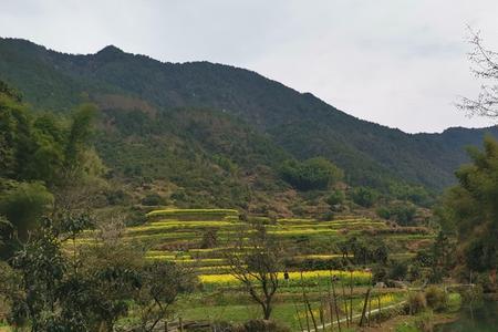 山穷水尽柳暗花明什么意思