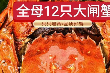 螃蟹25母什么意思